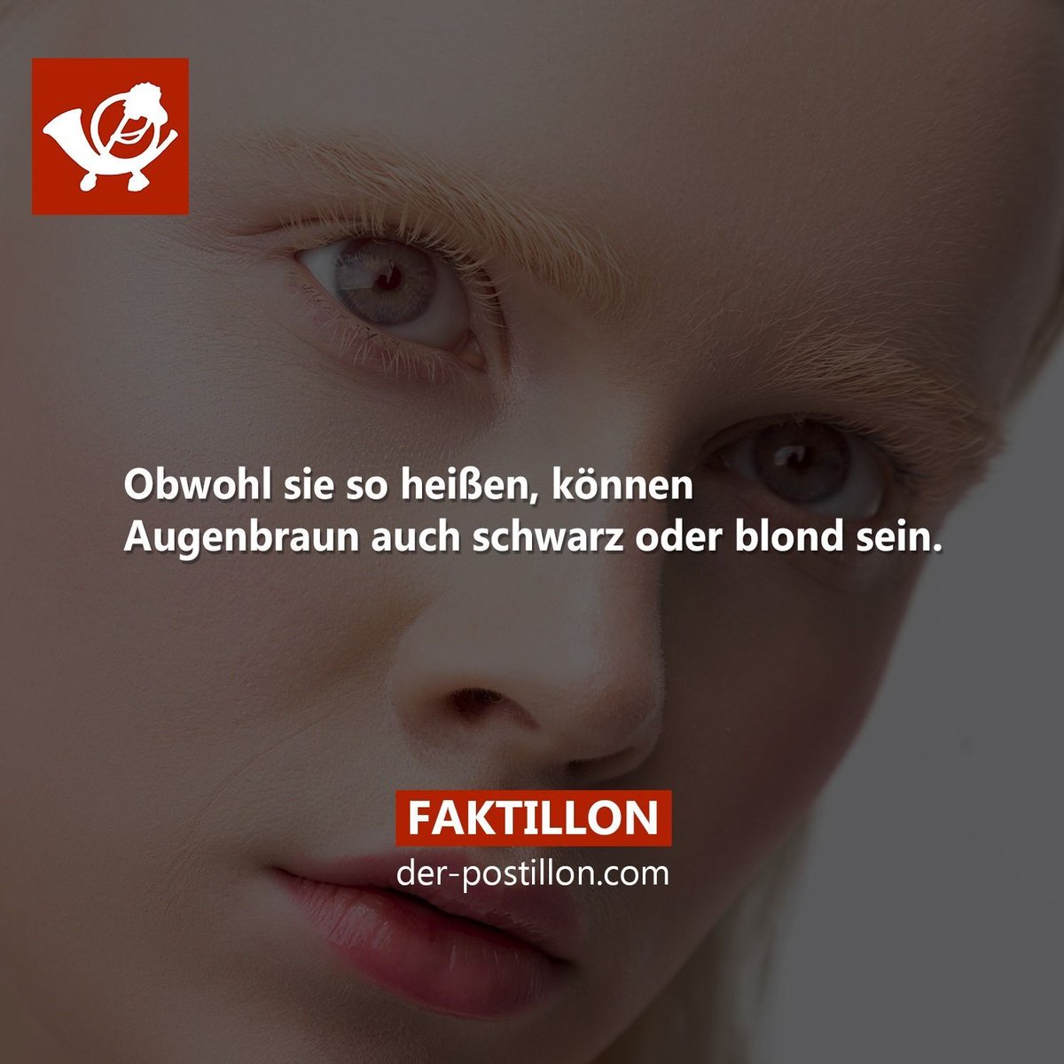 Der Postillon 📯 tweet media