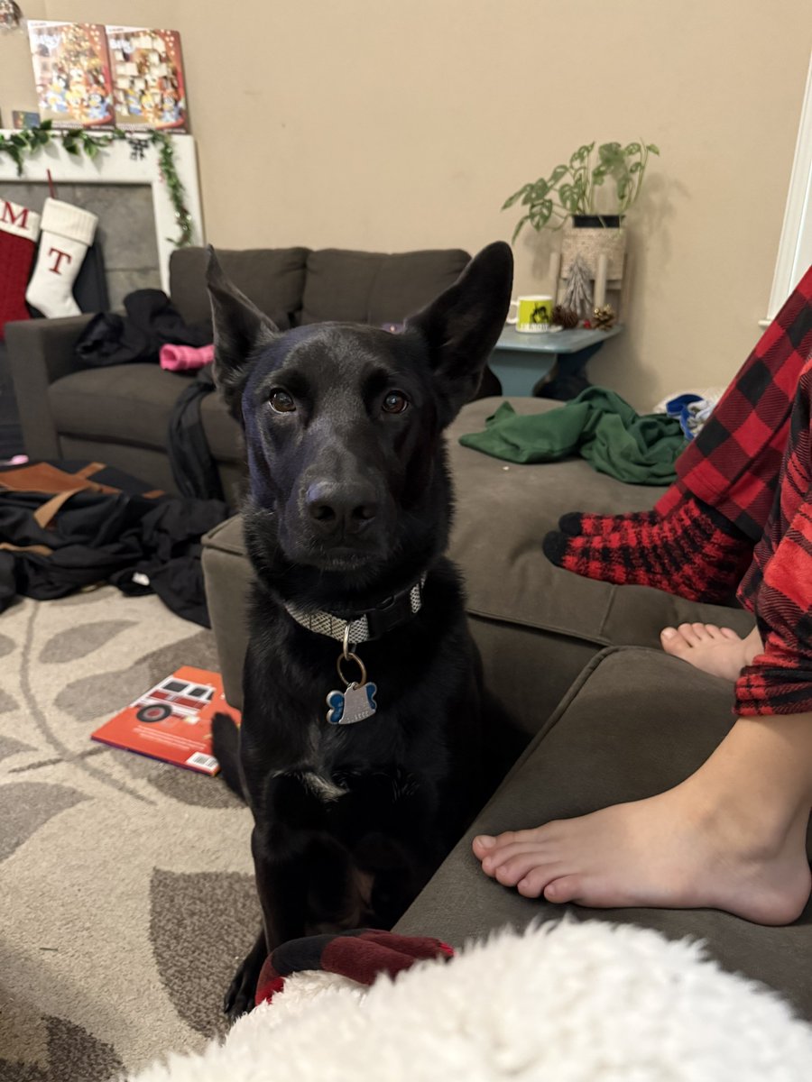 Tito Tarantino tweet media