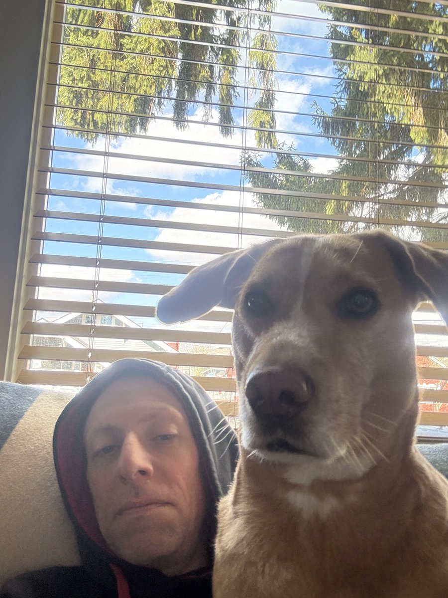 Tito Tarantino tweet media