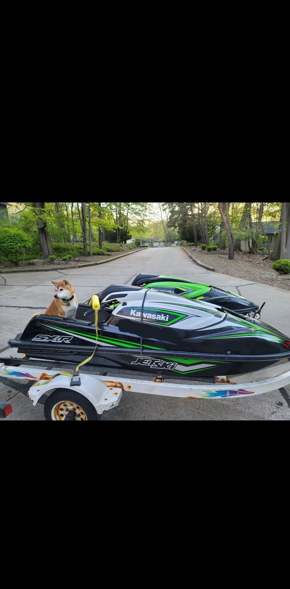 HoldNeverSold.Doge tweet media