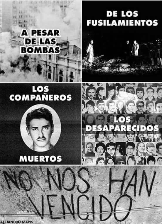 Clara ✌️🇦🇷💜🦋 tweet media