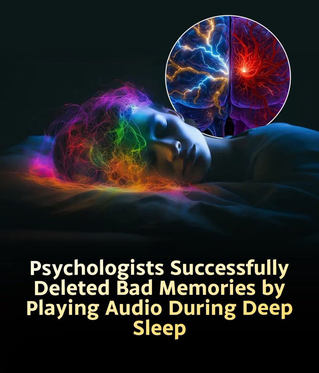 Shining Science tweet media