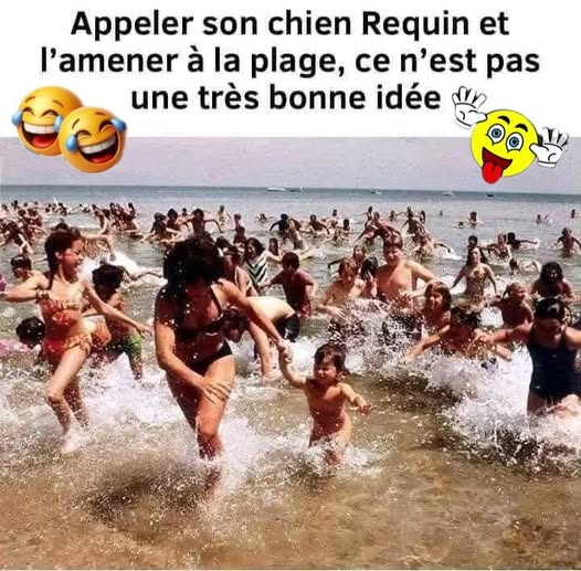 𝙋𝑨𝙎𝑪𝘼𝑳𝙊𝑼⚡NAFO ⚡ 🌍 🇫🇷 🇪🇺 🇺🇦 tweet media