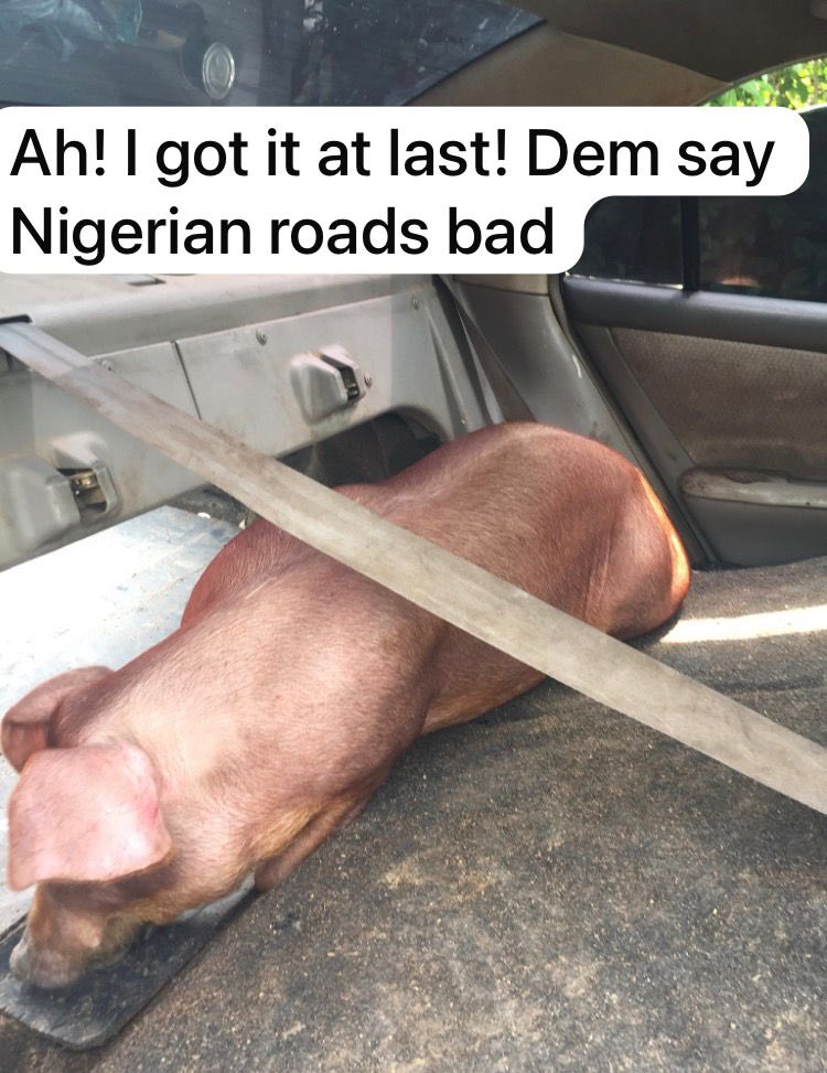 Kunmi Àgbà Farmer tweet media