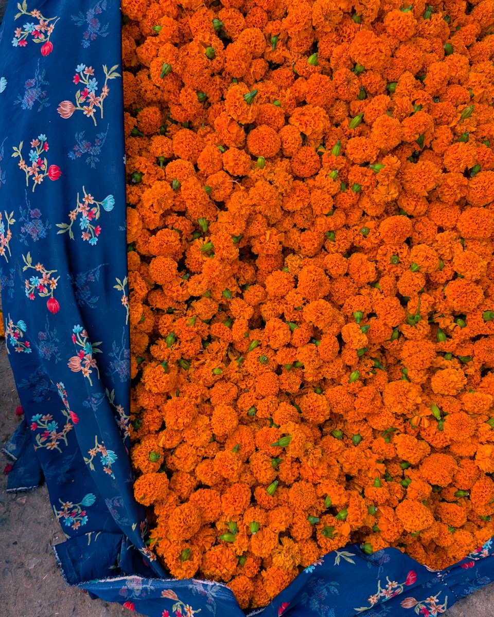 Lakshya Vardhan tweet media