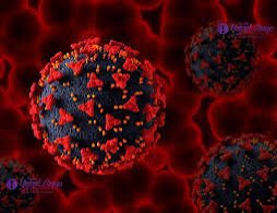 All day Astronomy tweet media