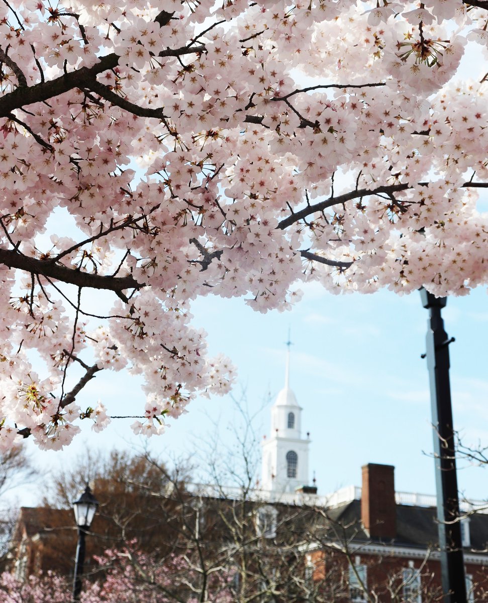 Delaware.gov tweet media