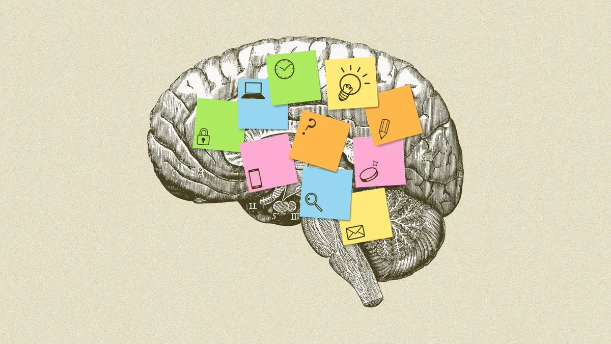 smartstudynow's tweet image. Supporting Students’ Working Memory🧠
Teachers can implement consistent routines, accessible supports, and empower students to figure out what helps them maintain focus.
edutopia.org/article/suppor…
#Education #ExecutiveFunction #TeachingStrategies #StudentSuccess #EdChat