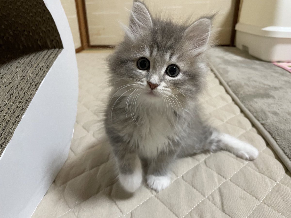 𝚈𝚞𝚞𝚗𝚊 tweet media