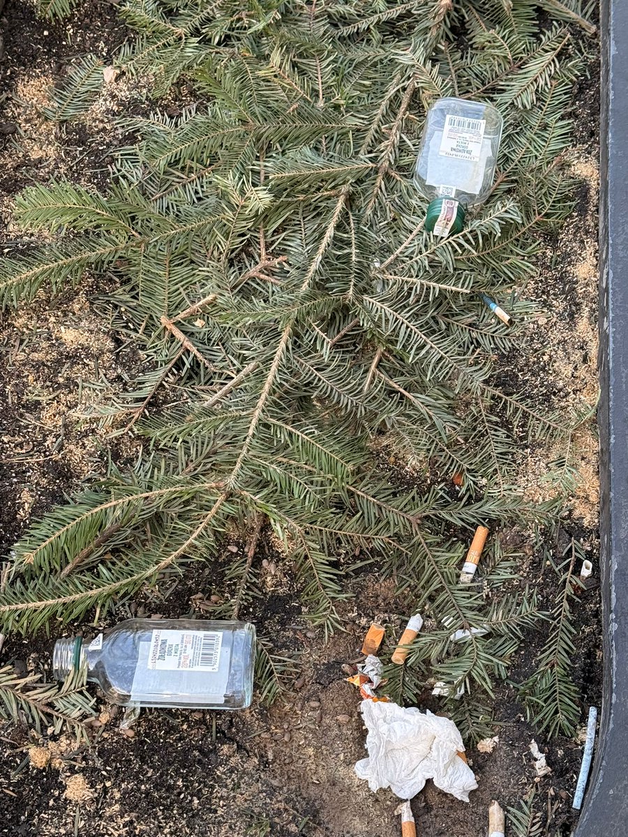 MałpiszOFF tweet media