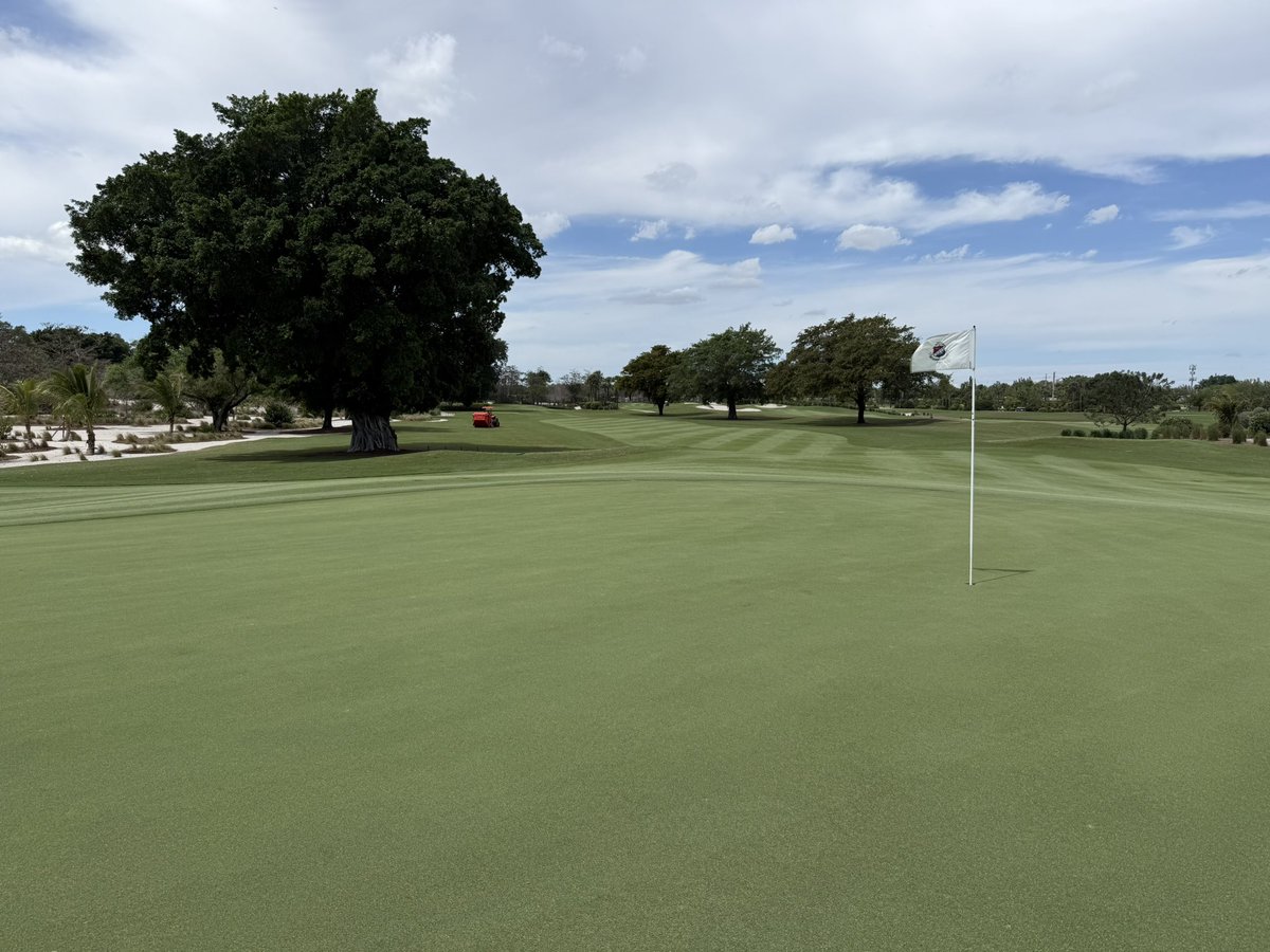 Matt Dungan tweet media