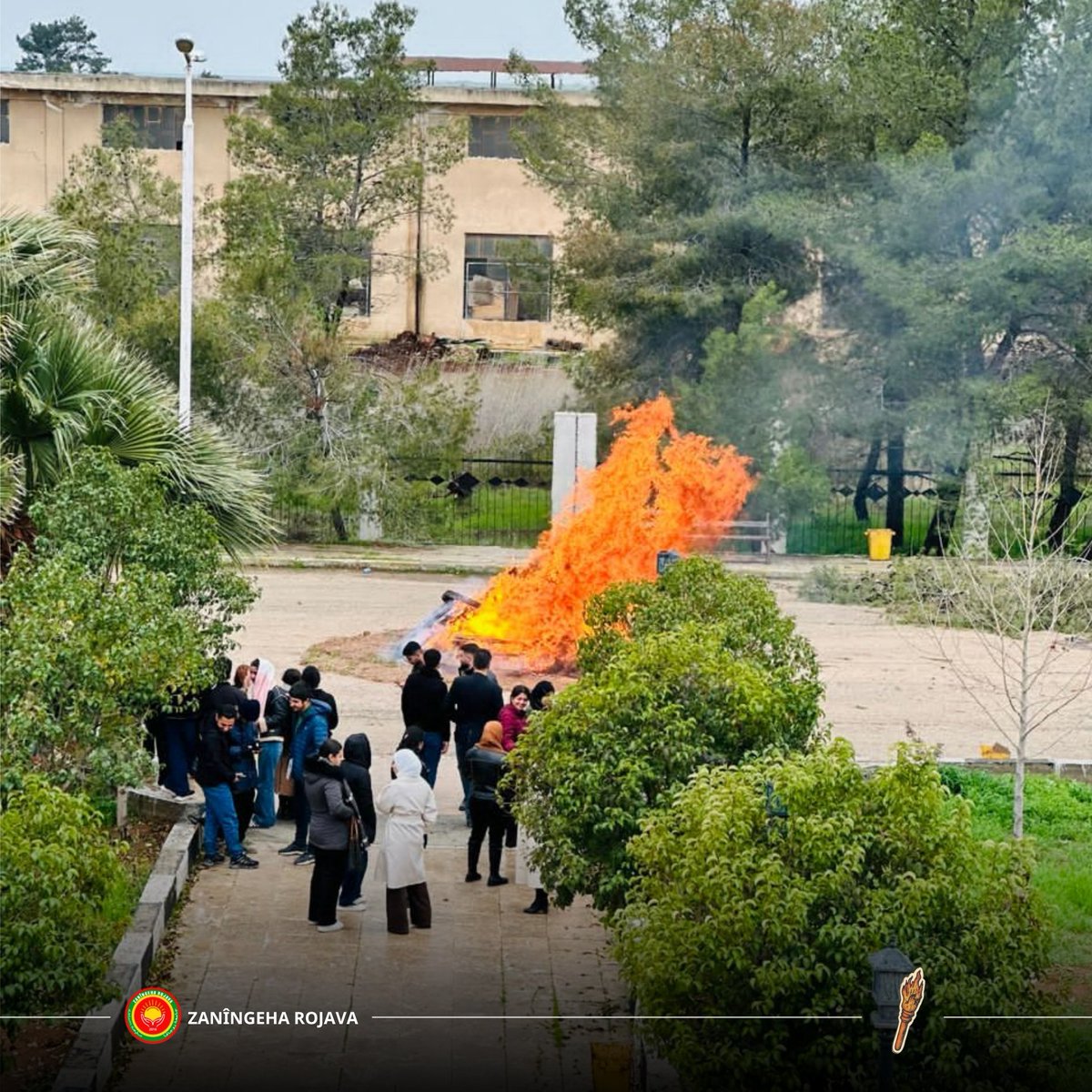 Zanîngeha Rojava / Rojava University tweet media