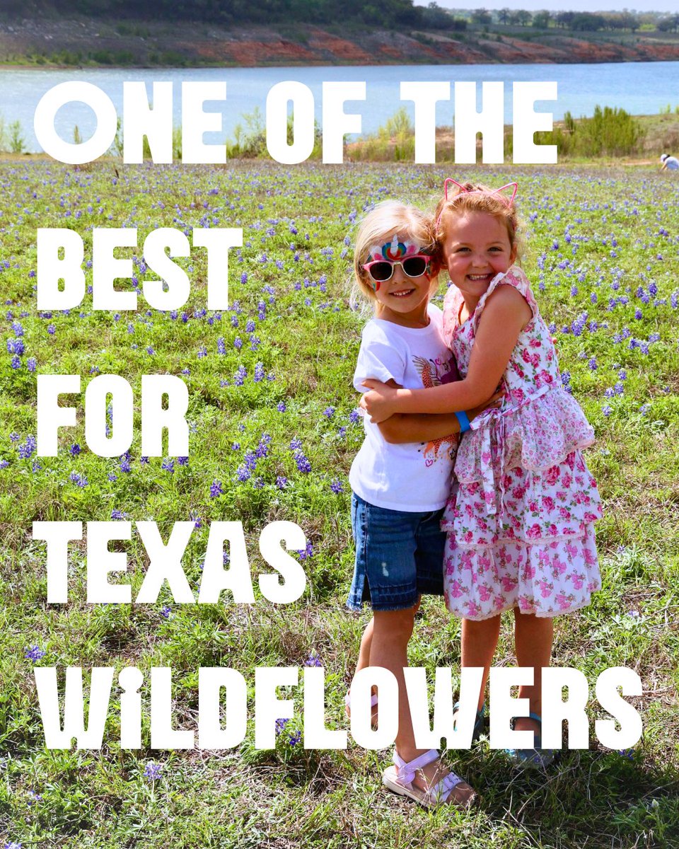 LCRA Parks tweet media