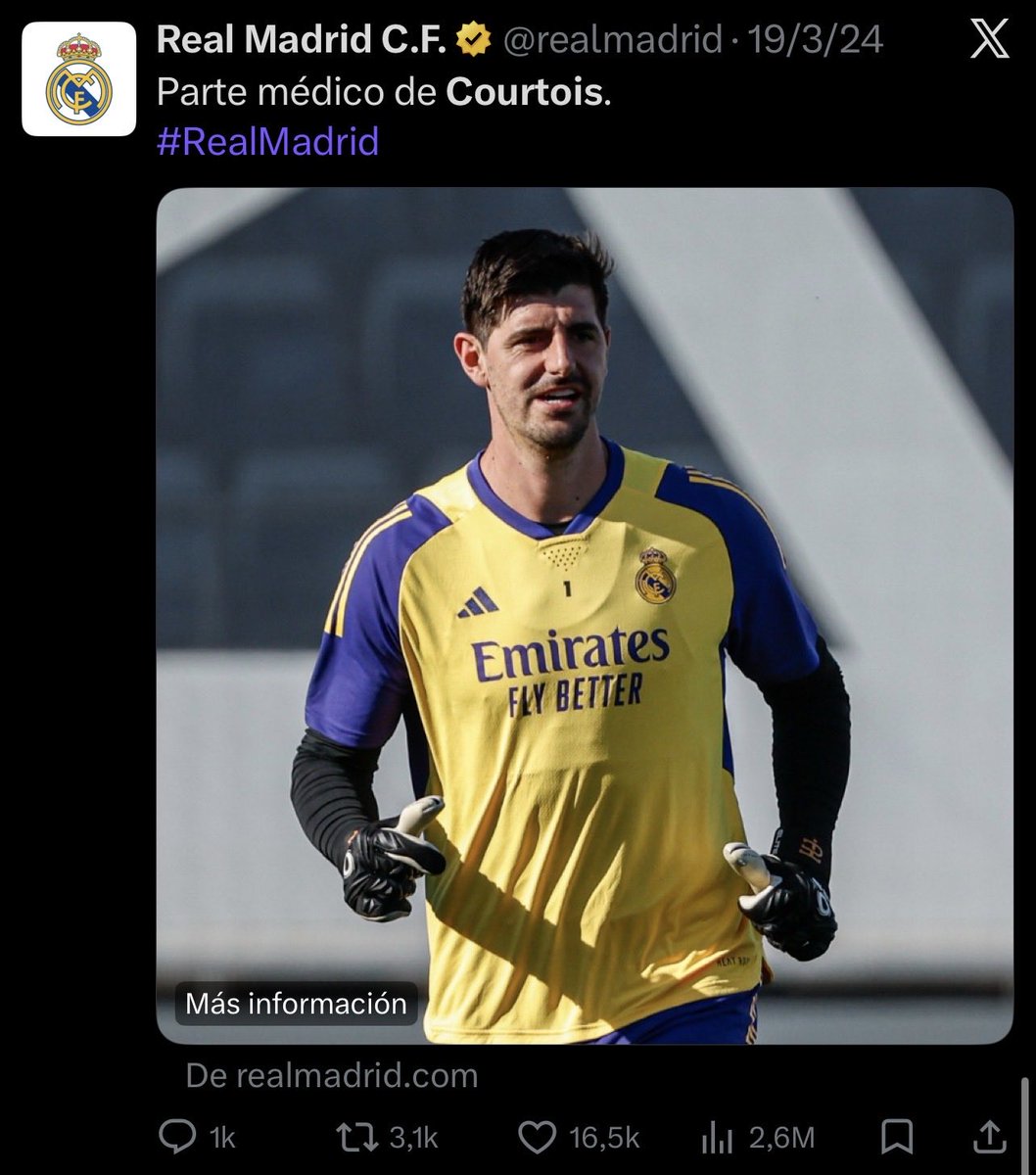 (fan) Marito 🐢 tweet media