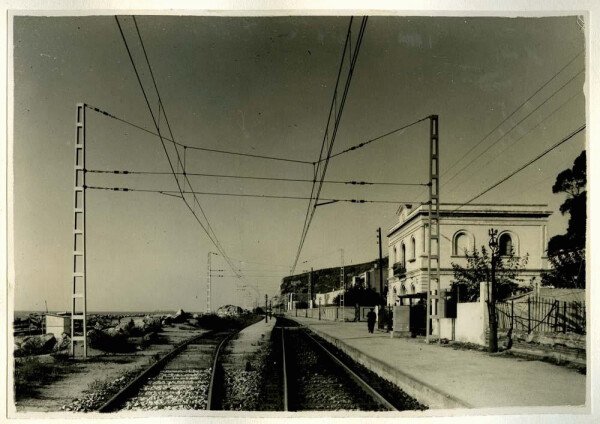 ASFA (bot) tweet media