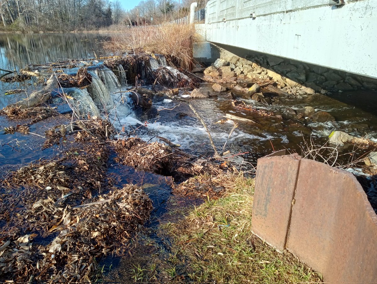 Bonk & Jerk tweet media