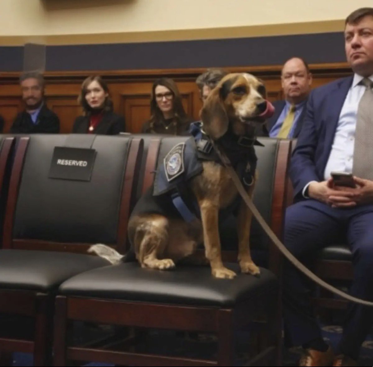 Rep. Ken Calvert tweet media