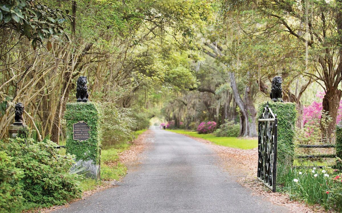 Explore Charleston tweet media