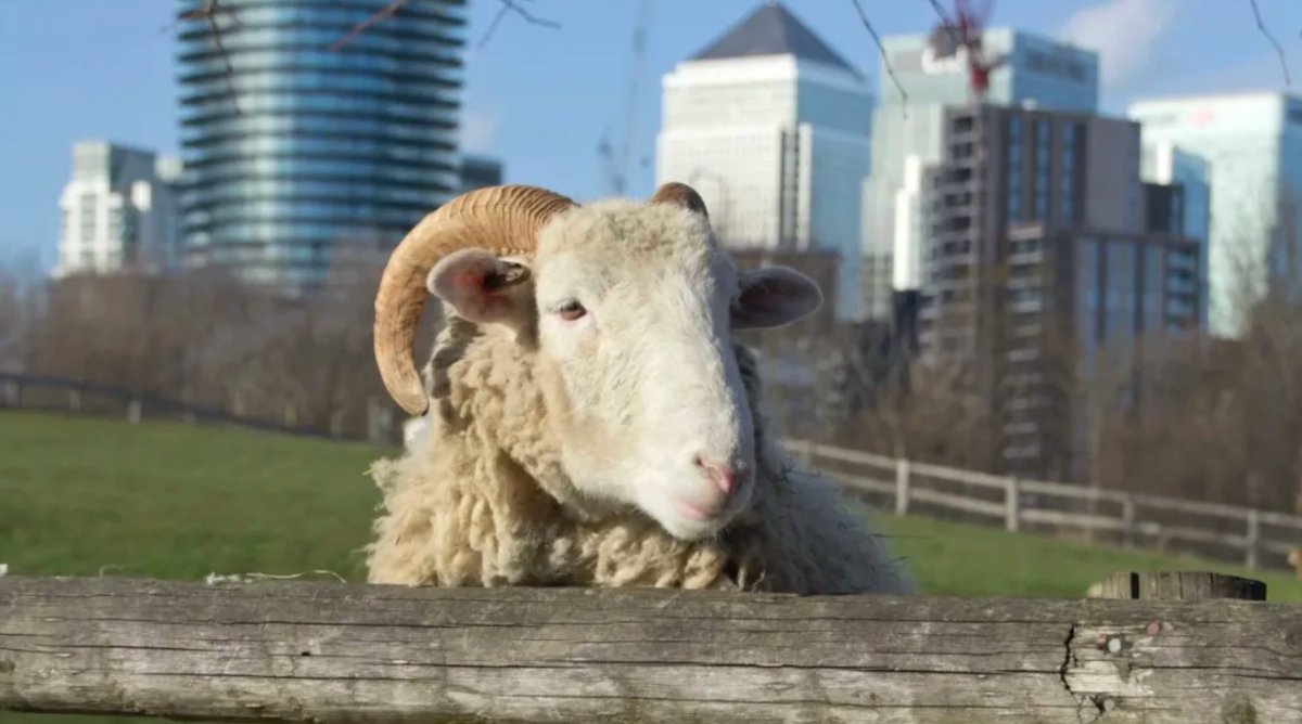 ShortList tweet media