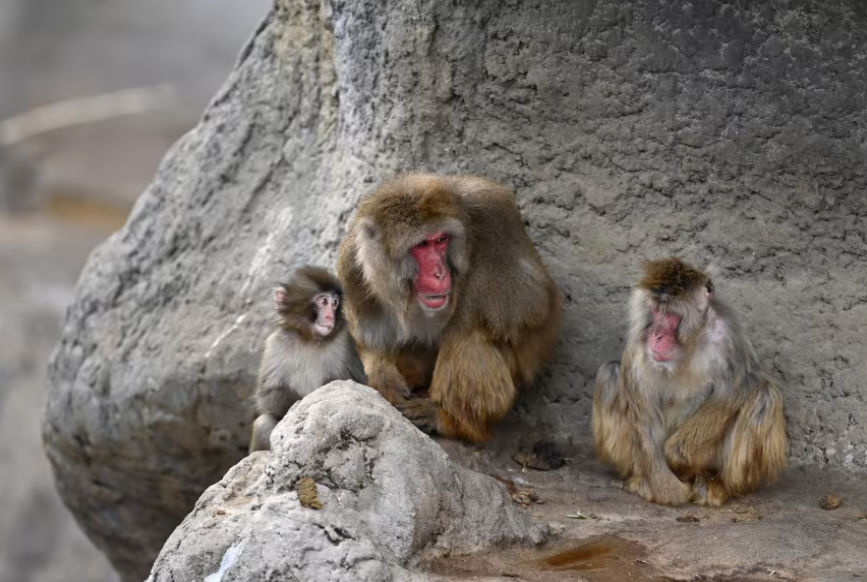 Constance Redd tweet media