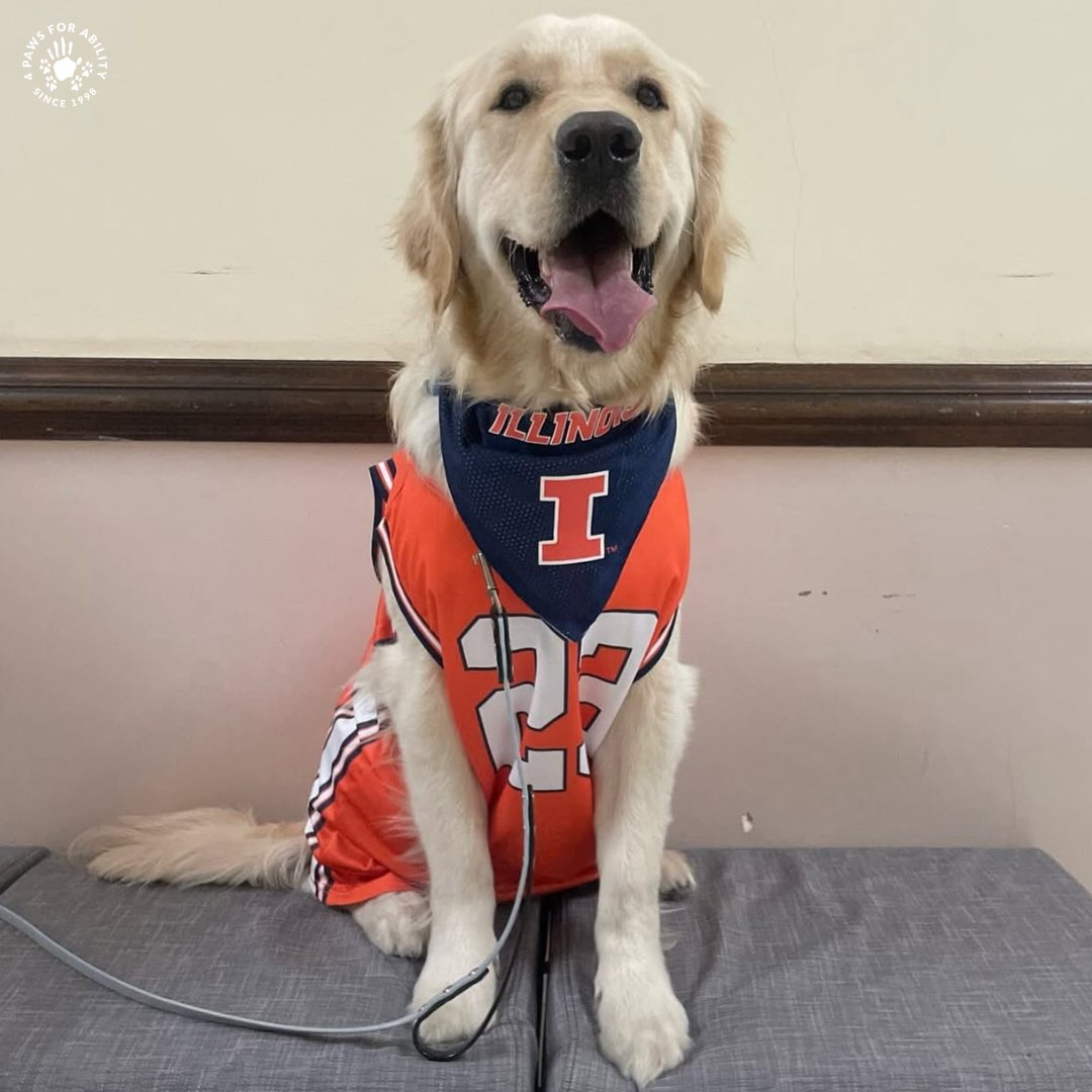 4 Paws For Ability tweet media