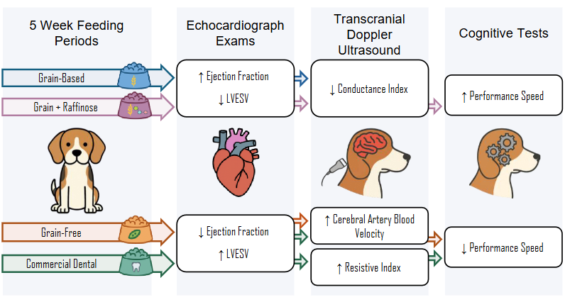 AJP-Regulatory, Integrative Comparative Physiology tweet media