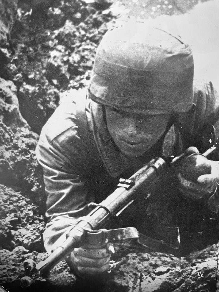 Fotos de Guerra tweet media