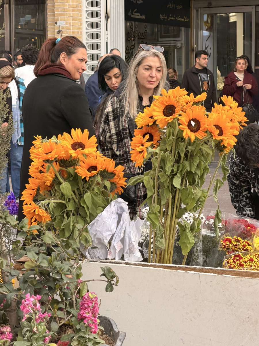 Farzad Fattahi tweet media