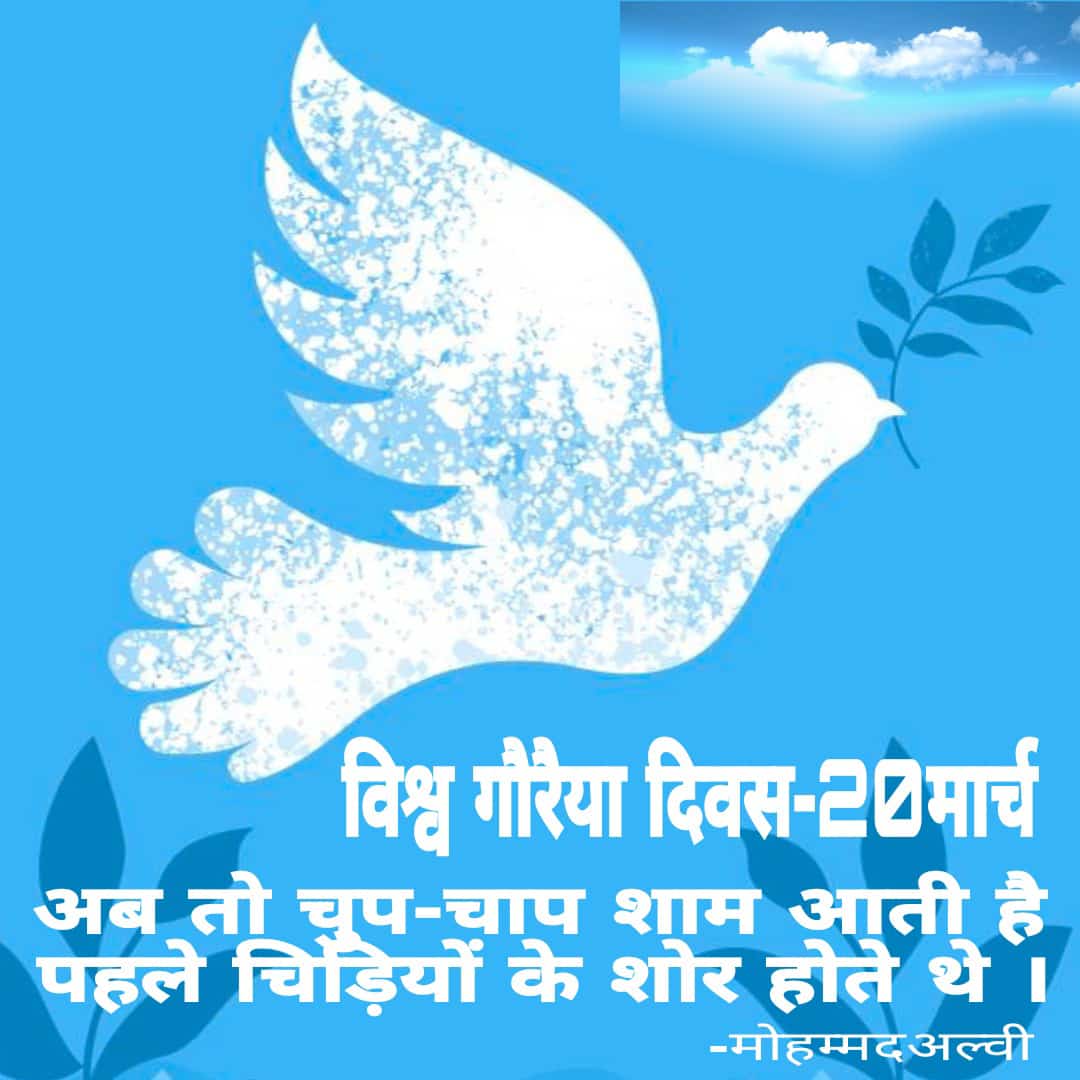 अब तो चुप-चाप शाम आती है
पहले चिड़ियों के शोर होते थे ।
          -मोहम्मदअल्वी

विश्व गौरैया दिवस-20मार्च📘🖊️