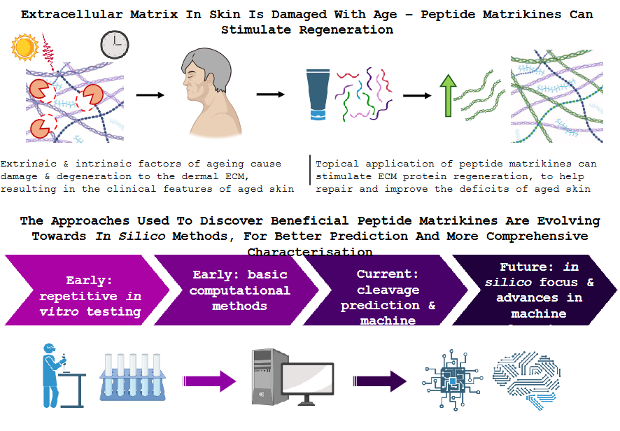 AJP-Cell Physiology tweet media