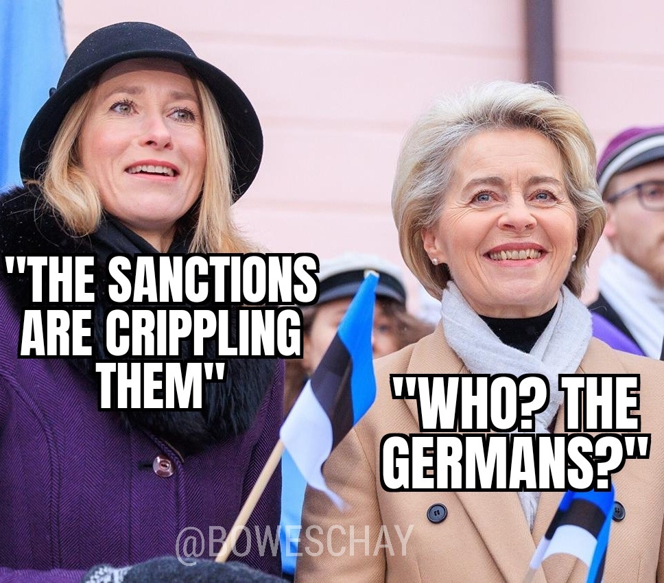 Max Scacchi tweet media