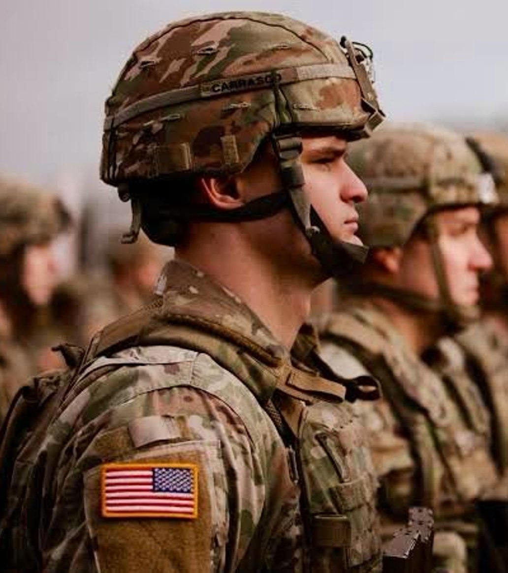 Dnnposts tweet media