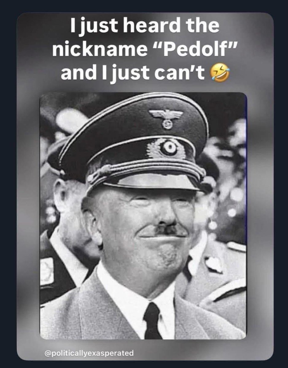 Bären-Fella tweet media