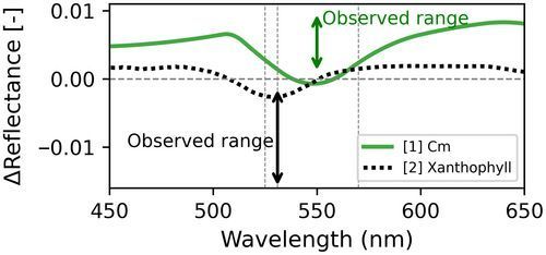 New Phytologist tweet media