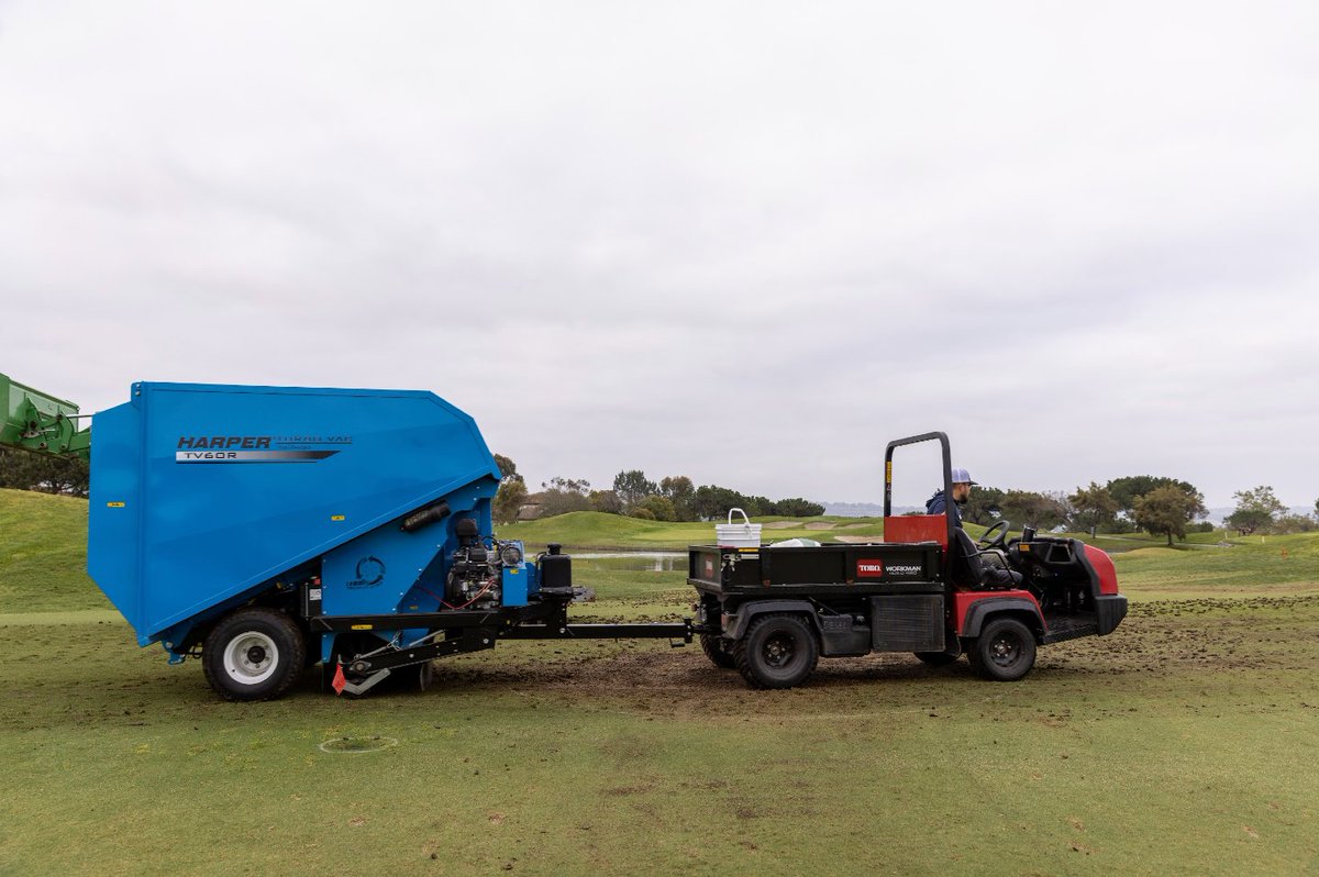 Turf Star Western tweet media