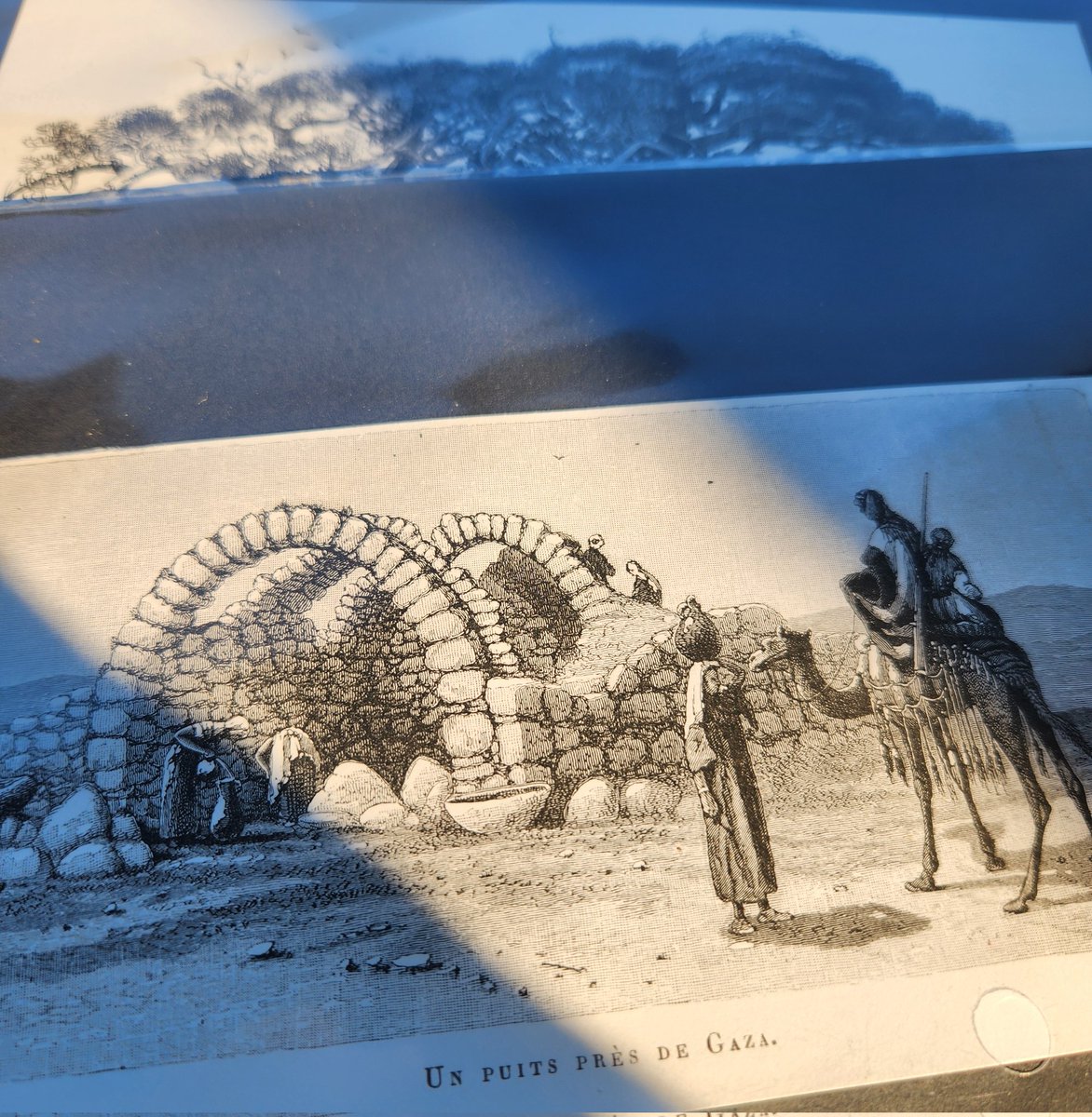 Annihilation tweet media