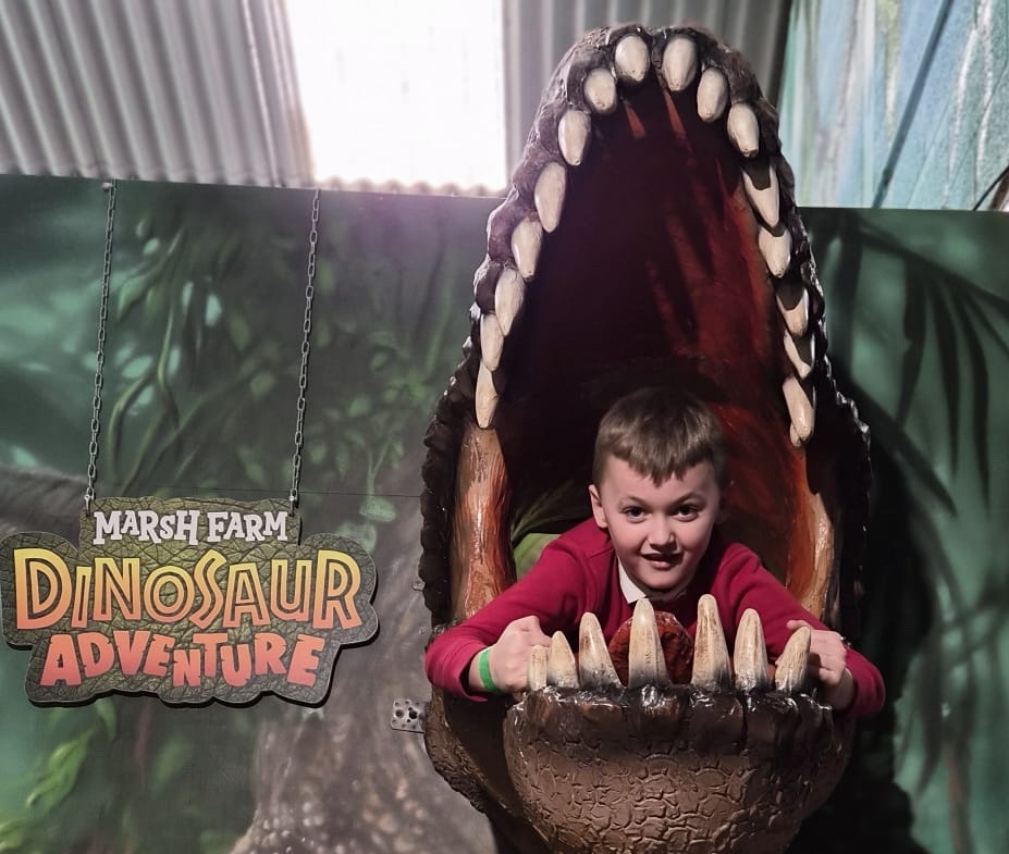 Lee Chapel Primary School tweet media