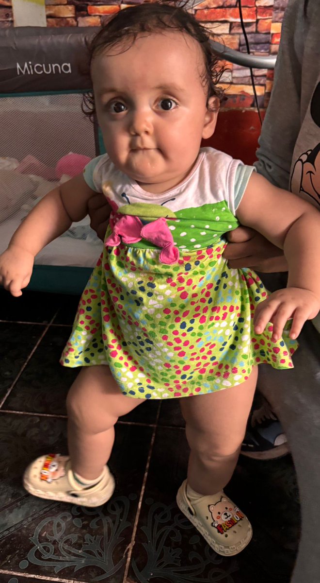 koke_nortino tweet media