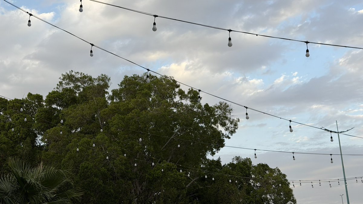 رشـا tweet media