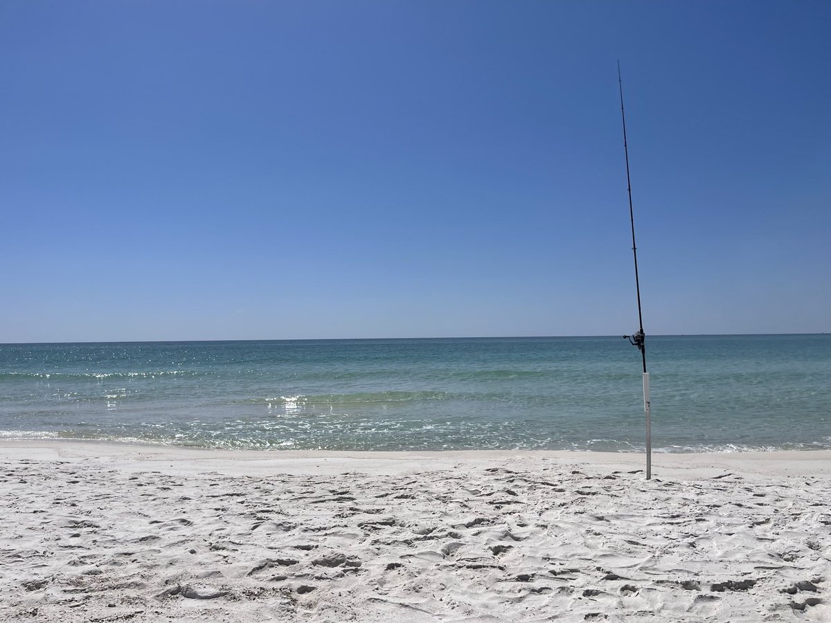 Rhett Bise 🍢🍢 tweet media