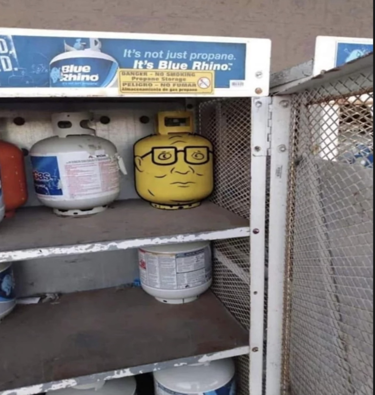 Zeducation tweet media