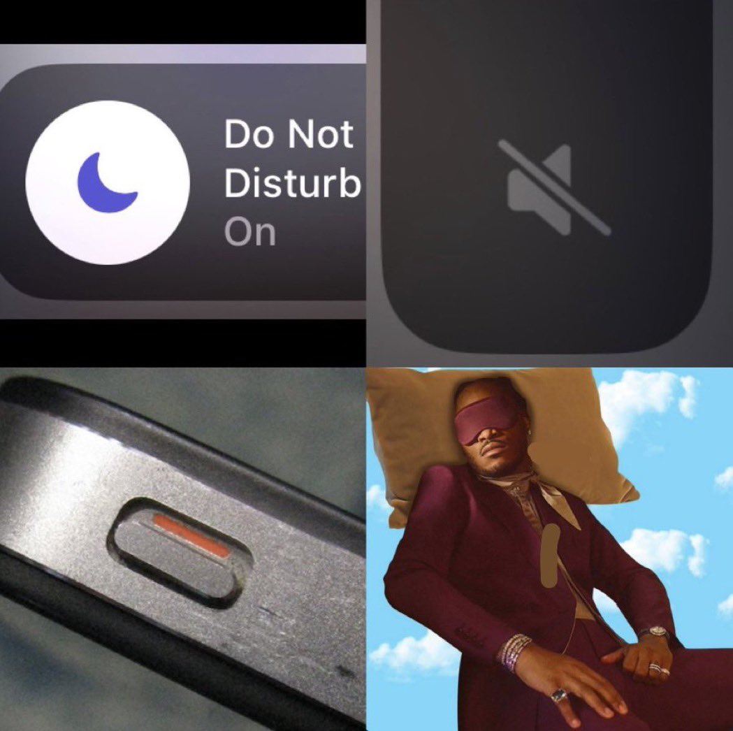 DramaQueen 🐶 tweet media