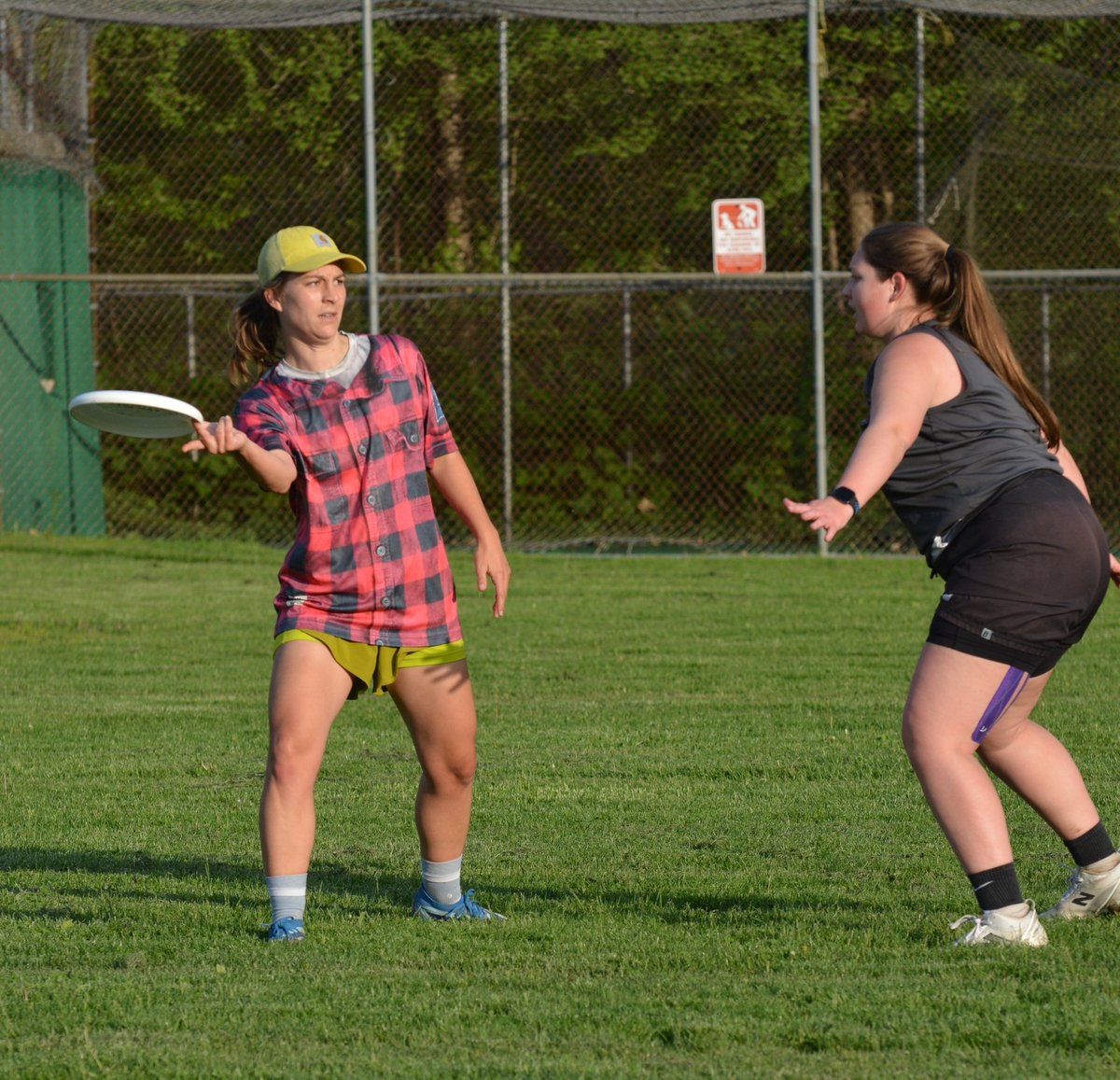 Pittsburgh Ultimate tweet media