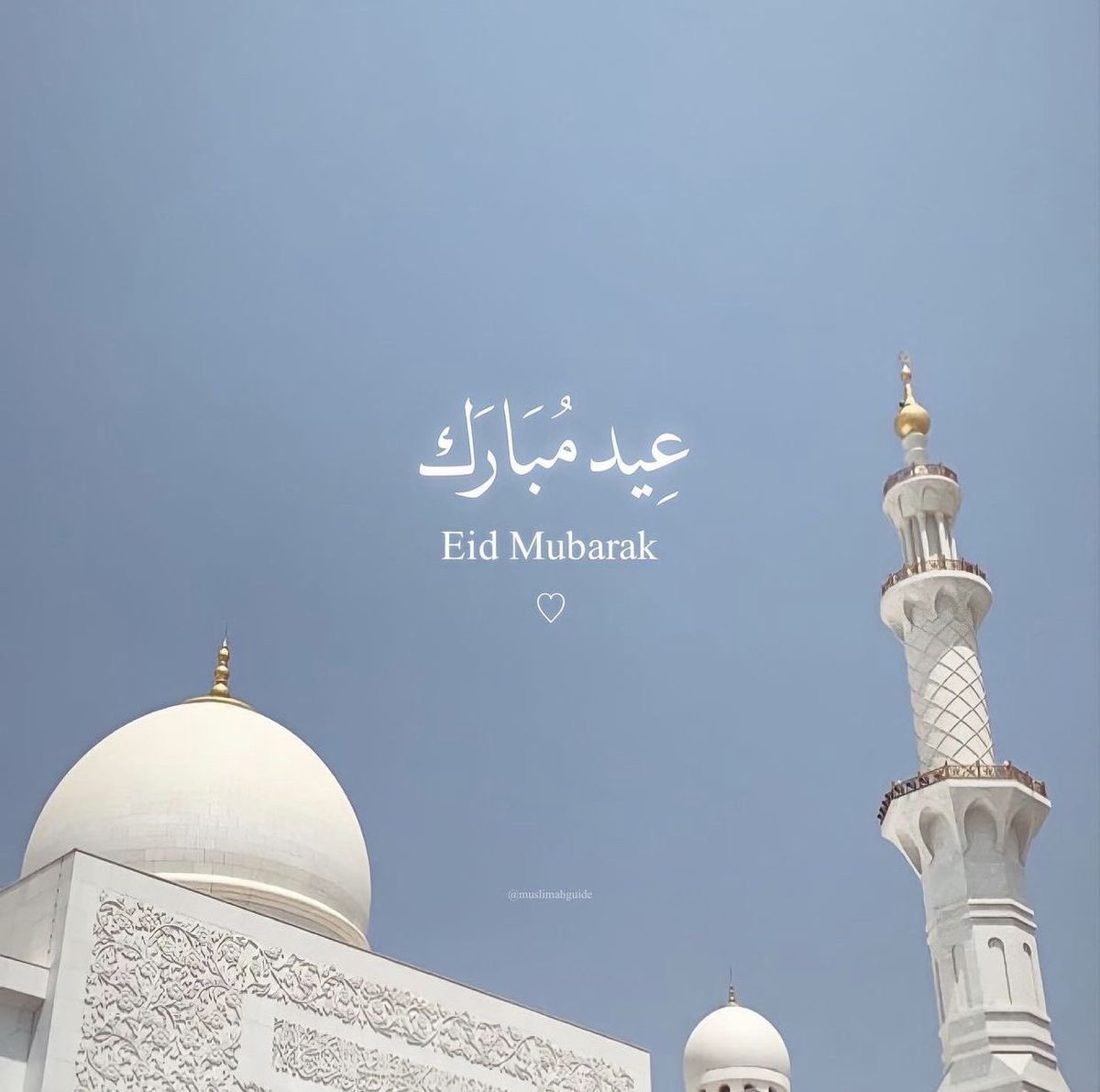 ּ֯ . ❥ ּ֯ ┆꒰ 𝑔𝓇𝒶𝒸𝒾𝑒 .ᐟ ꒱ tweet media