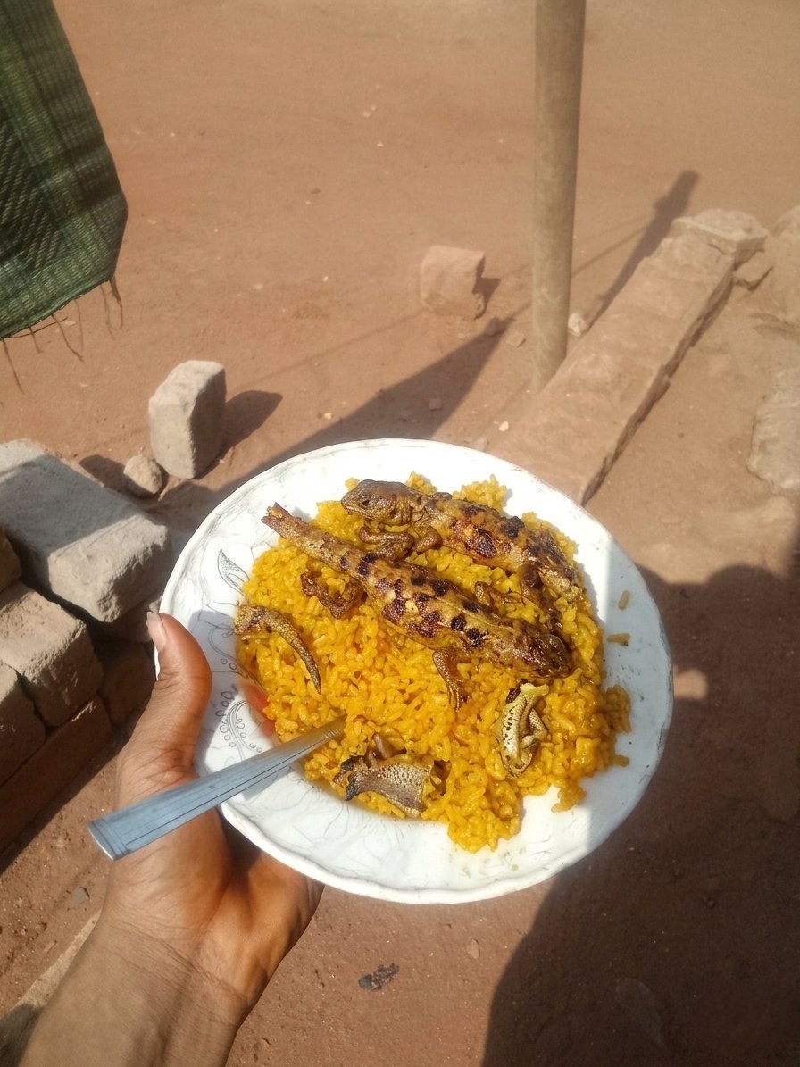 ℙ𝕒𝕤𝕔𝕙𝕒𝕝✭ tweet media