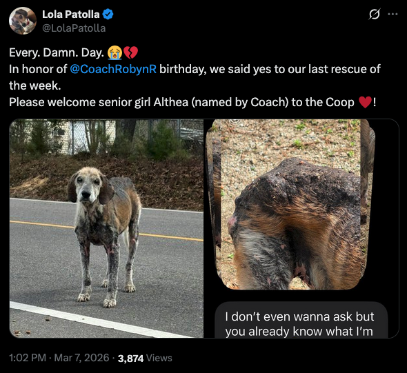 May and Fionn - The Rescue Hounds tweet media