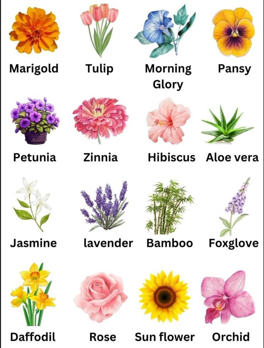 Wesley Grandma🎸🦈🐶 (semi-ia) tweet media