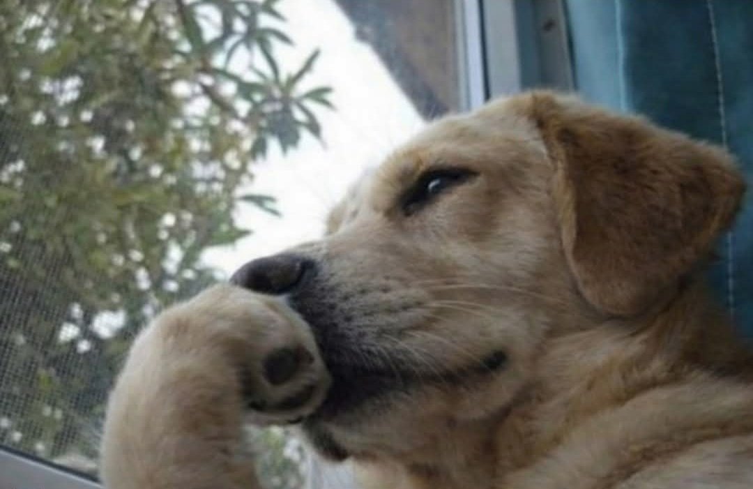 Sarahphina 🫎 tweet media