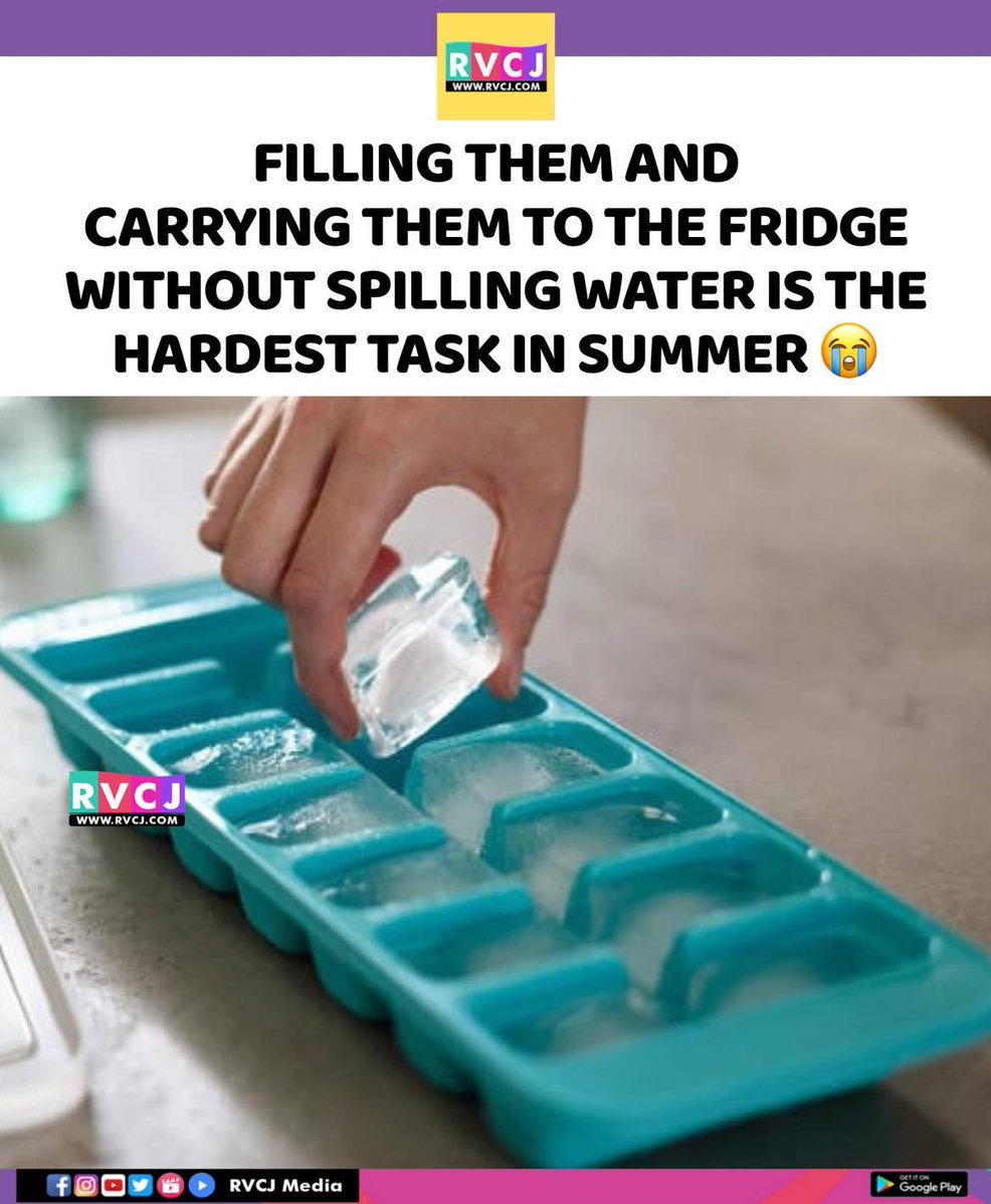 RVCJ Media tweet media