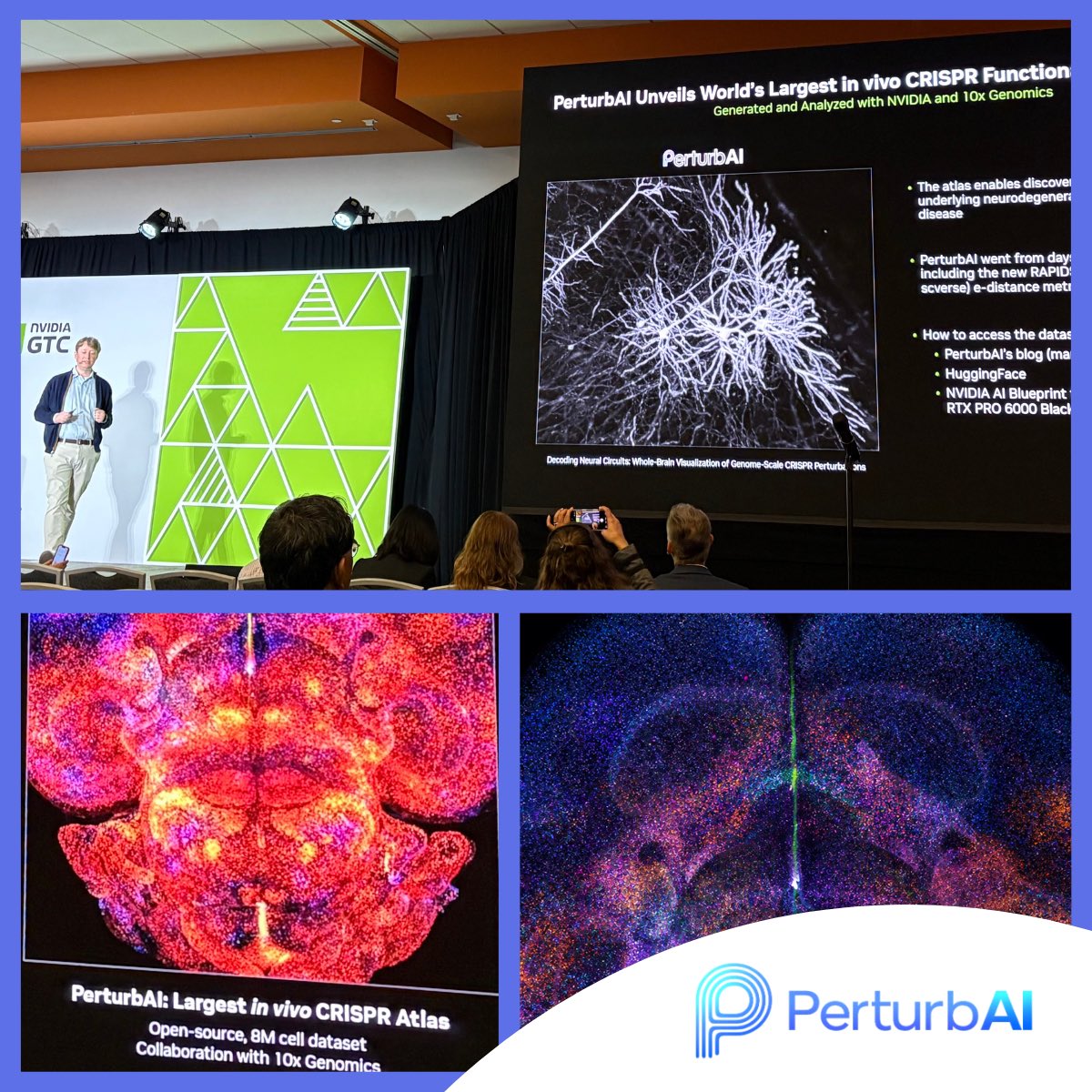 Perturb.ai tweet media